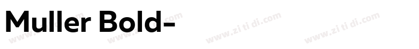 Muller Bold字体转换